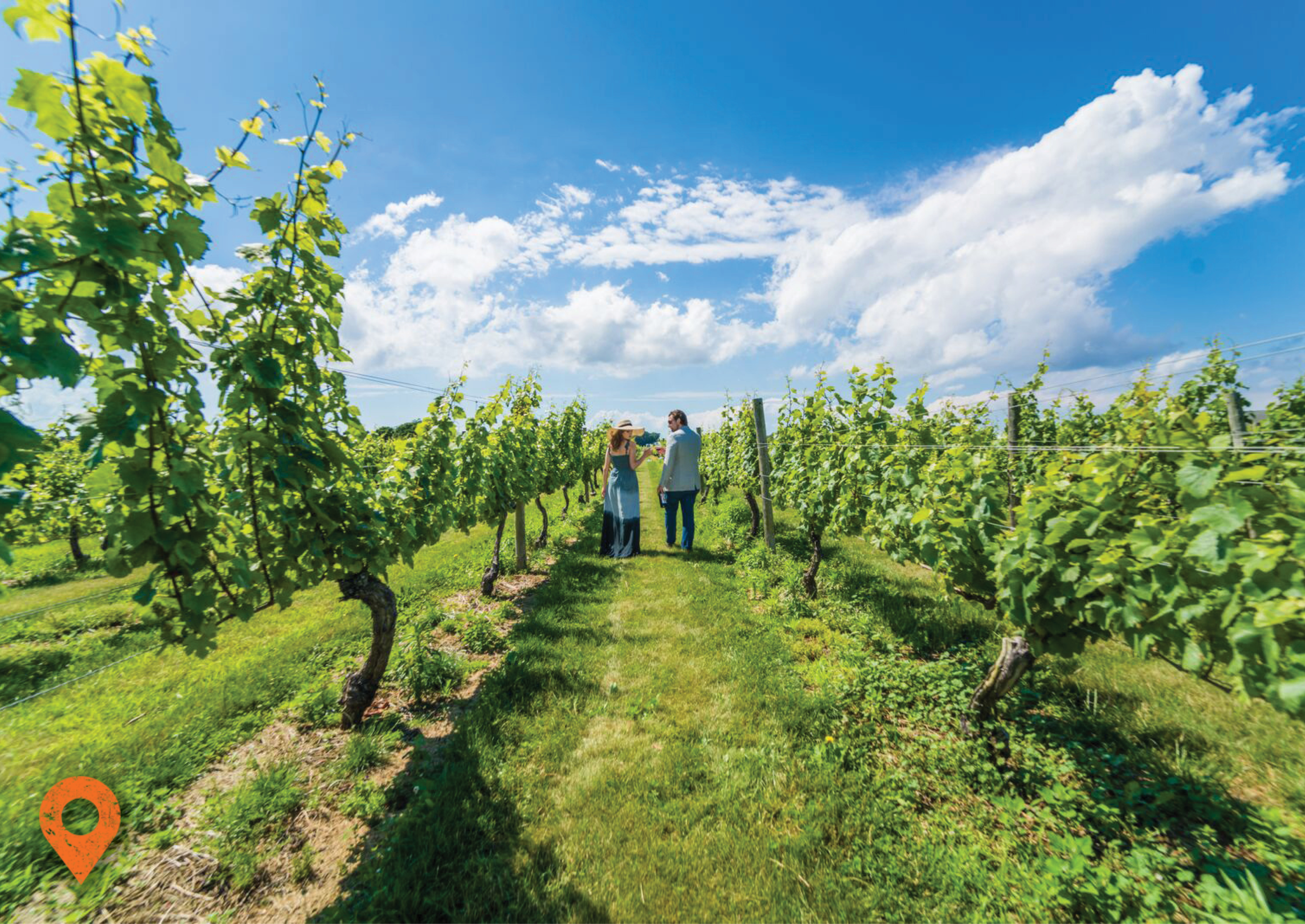 Long Island Wineries, Breweries & Distilleries | Discover Long Island