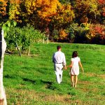 Cayuga Lake Wine Trail