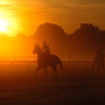 Saratoga Race Course | Saratoga Springs