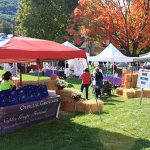 Naples Grape Festival | Canandaigua Area