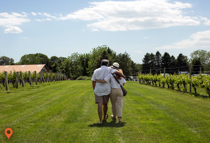 Wine Country II | Long Island