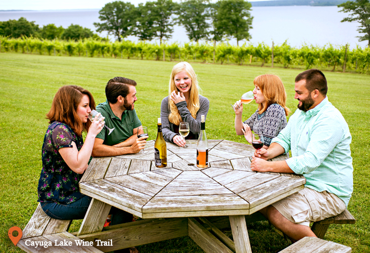 Cayuga Lake Wine Trail